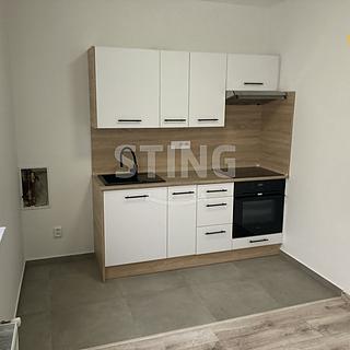 Pronájem bytu 1+kk a garsoniéry 25 m² Opava Předměstí, Hviezdoslavova