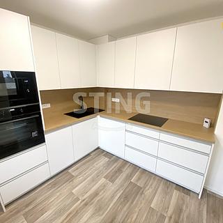 Pronájem bytu 2+1 48 m² Raduň, Mírová