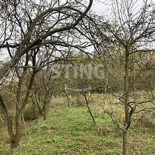 Prodej ostatních pozemků 4839 m² Koryčany