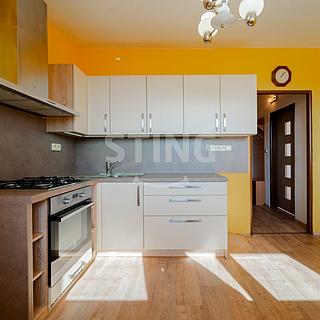 Prodej bytu 1+1 35 m² Opava Kateřinky, Holasická