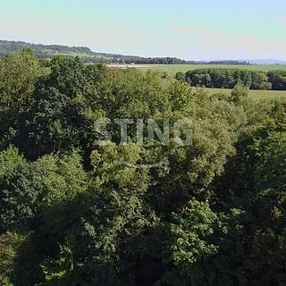 Prodej lesa 9789 m² Hnojník