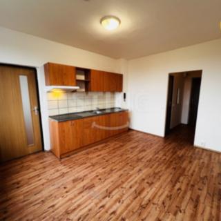 Pronájem bytu 1+1 45 m² Ostrava