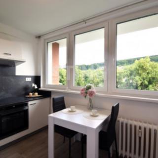 Pronájem bytu 1+1 29 m² Zlín