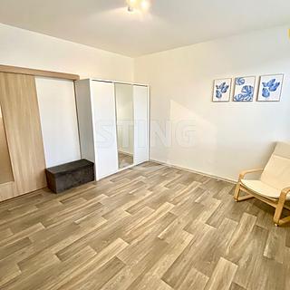 Pronájem bytu 2+1 44 m² Opava Kateřinky, Holasická