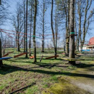 Prodej ostatního komerčního prostoru 850 m² Trojanovice
