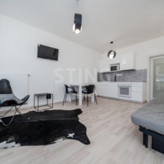 Prodej bytu 1+kk a garsoniéry 31 m² Čeladná