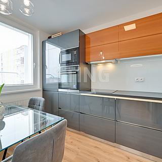 Prodej bytu 2+1 41 m&sup2; Hodonín