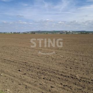 Prodej zemědělské půdy 3 547 m² Kunovice