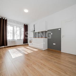 Pronájem bytu 1+kk, garsoniery 21 m&sup2; Ostrava