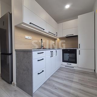 Pronájem bytu 1+1 40 m² Ostrava Výškovice