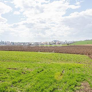 Prodej stavební parcely 730 m² Sivice