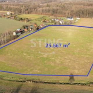 Prodej ostatního pozemku 25 667 m² Petrovice u Karviné Prstná