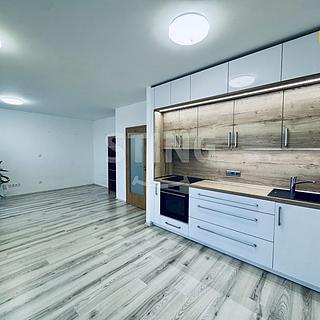 Pronájem bytu 1+kk a garsoniéry 38 m² Pardubice Ohrazenice, U Sportovní školy