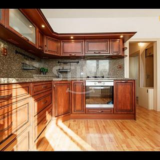 Prodej bytu 1+1 45 m&sup2; Ostrava