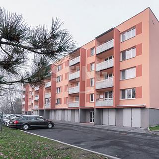 Pronájem bytu 1+kk a garsoniéry 24 m² Frýdek-Místek Frýdek, Topolová