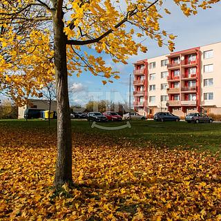 Prodej bytu 3+1 53 m² Ivančice