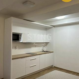 Pronájem bytu 1+kk, garsoniery 30 m&sup2; Ostrava