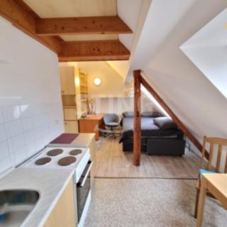 Pronájem bytu 1+kk, garsoniery 52 m² Opava