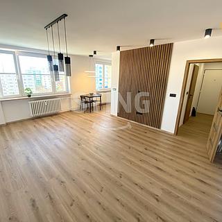 Pronájem bytu 1+kk a garsoniéry 40 m² Krnov Pod Cvilínem, SPC E