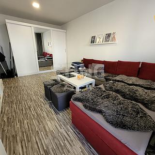 Pronájem bytu 1+kk, garsoniery 21 m&sup2; Opava