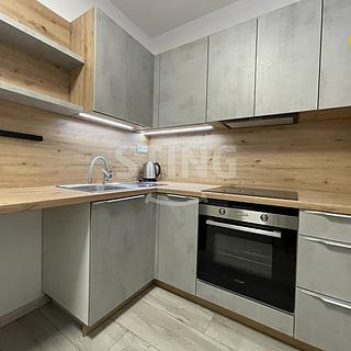 Pronájem bytu 1+1 38 m² Ostrava