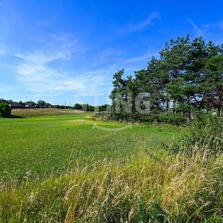 Prodej stavební parcely 874 m² Moravský Písek