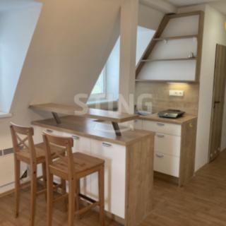 Pronájem bytu 1+kk a garsoniéry 28 m² Opava Kateřinky, Vrchní