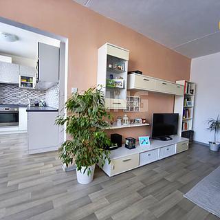 Prodej bytu 3+1 74 m² Větrný Jeníkov