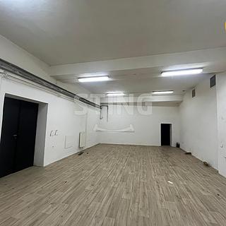 Pronájem skladu 80 m² Opava Předměstí, Rybářská