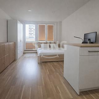 Pronájem bytu 1+kk, garsoniery 27 m&sup2; Ostrava