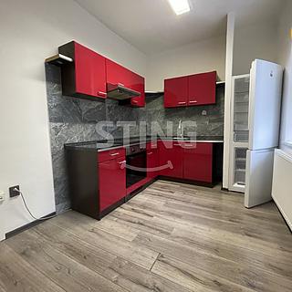 Pronájem bytu 1+1 50 m² Ostrava
