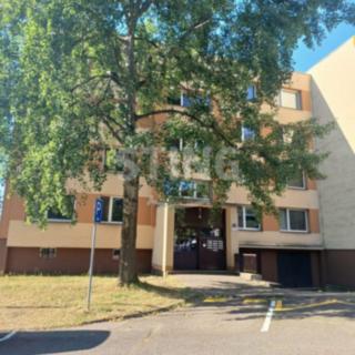 Pronájem bytu 1+1 37 m² Ostrava Poruba, Jana Ziky