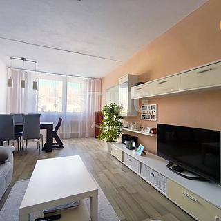 Prodej bytu 3+1 74 m² Větrný Jeníkov