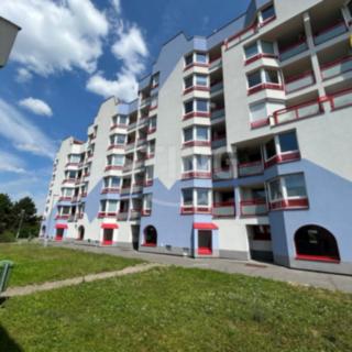 Pronájem bytu 1+1 40 m² Pardubice, Dašická