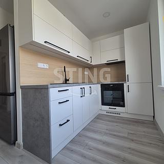 Pronájem bytu 1+1 40 m&sup2; Ostrava