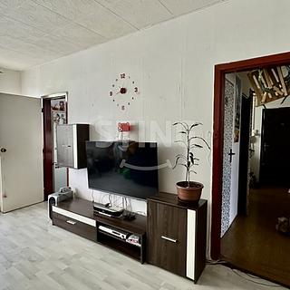 Prodej bytu 3+1 68 m² Havířov Šumbark, Školní