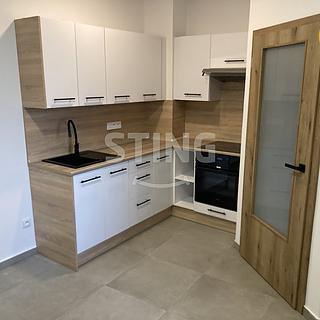 Pronájem bytu 1+1 40 m² Opava Předměstí, Hviezdoslavova