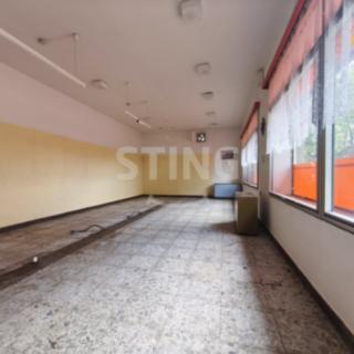 Prodej ostatního komerčního prostoru 170 m² Vyklantice Staré