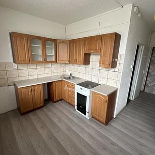 Pronájem bytu 1+1 42 m&sup2; Ostrava