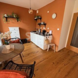 Pronájem bytu 1+kk a garsoniéry 25 m² Čeladná
