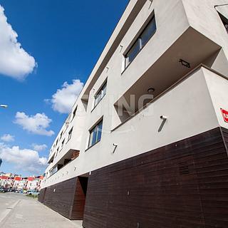 Pronájem bytu 2+kk 54 m² Jihlava, Vlasty Javořické