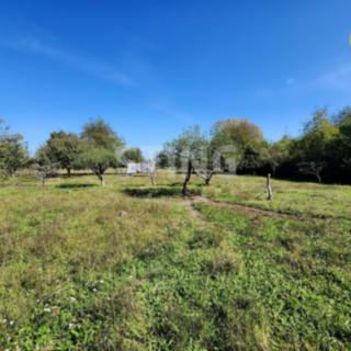 Prodej zahrady 1 774 m² Přerov X-Popovice