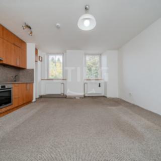 Prodej bytu 1+kk a garsoniéry 33 m² Nový Jičín