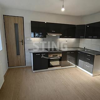 Pronájem rodinného domu 433 m&sup2; Dětmarovice