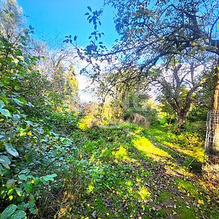 Prodej zahrady 2 697 m² Osek nad Bečvou