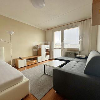 Pronájem bytu 1+1 32 m² Třebíč Borovina, Zahraničního odboje