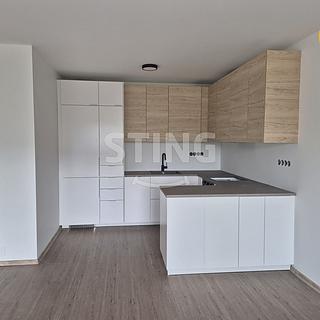 Pronájem bytu 2+kk 59 m² Bílov
