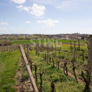 Prodej komerčního pozemku 4 731 m² Bořetice