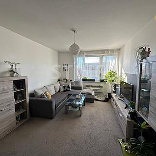 Pronájem bytu 2+1 50 m² Dolní Benešov