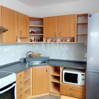 Pronájem bytu 1+1 41 m² Svratka, Nad Školou